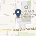 Szpital Powiatowy w Brzezinach na mapie