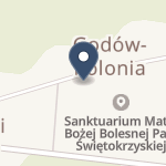 NSZOZ Gomed-Ostrowiec na mapie
