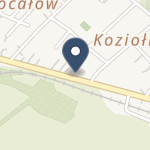 NZOZ Lekarz Rodzinny na mapie