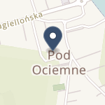 Podhalański Szpital Specjalistyczny im. Jana Pawła II w Nowym Targu na mapie