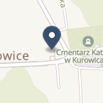 SPZOZ w Kurowicach na mapie