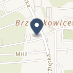 NZOZ Silesia Med na mapie